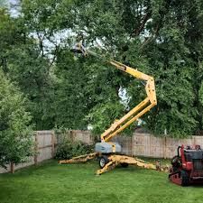 Best Tree Risk Assessment  in Linntown, PA